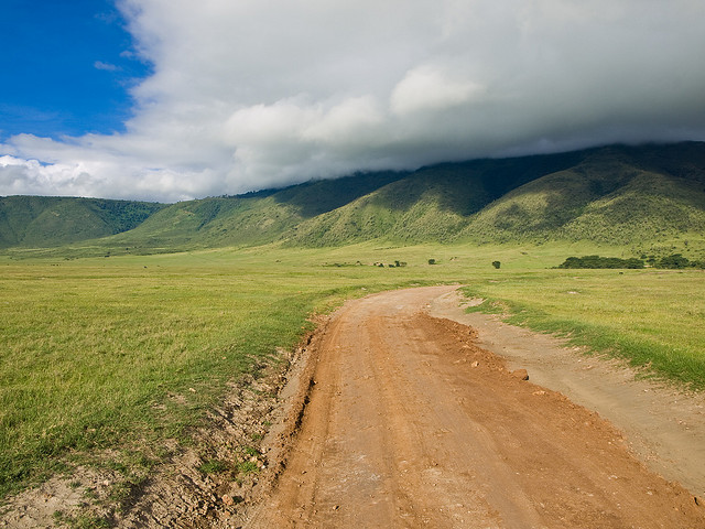 In the Ngorongoro Crater