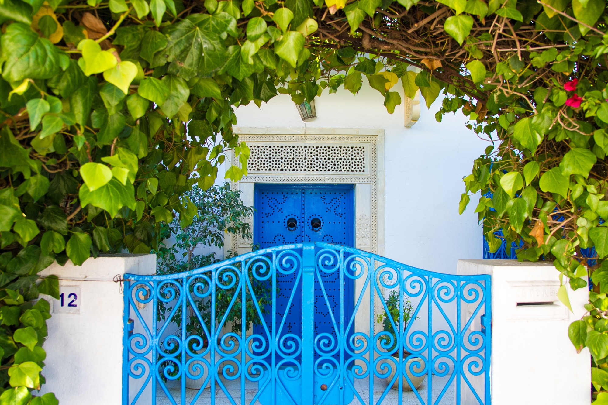 青と白の街 シディ ブ サイド の写真27枚を無料配布します チュニジア Work Life Chaos