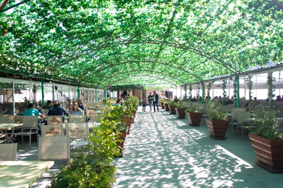 フードコート フードコート