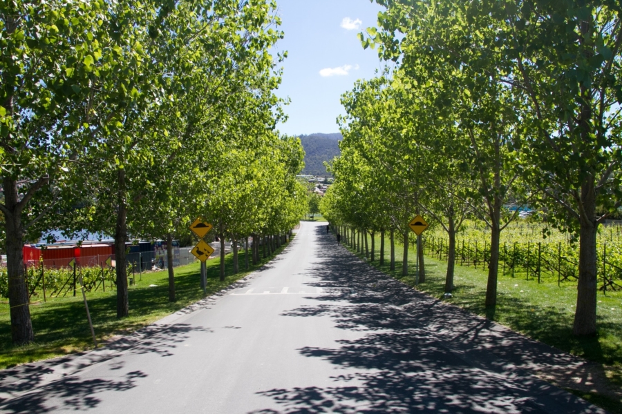 ホバートのMONA ホバートのMONA