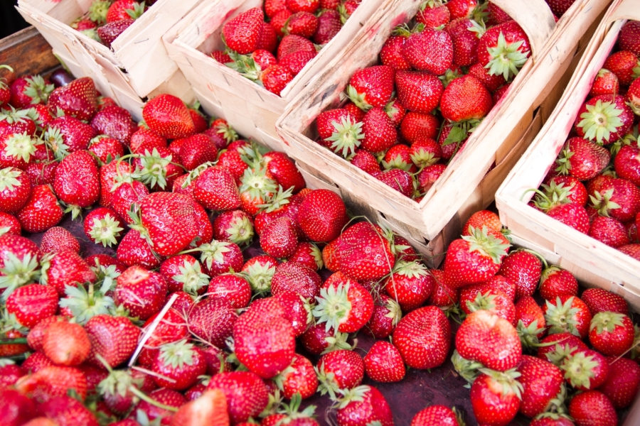 Hala Mirowska Hala Mirowska