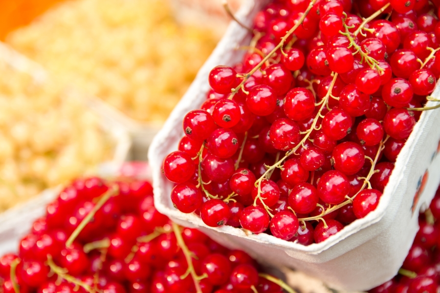 Hala Mirowska Hala Mirowska