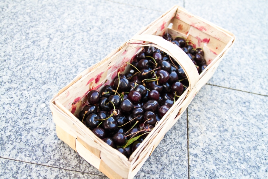 Hala Mirowskaのブラックチェリー Hala Mirowskaのブラックチェリー