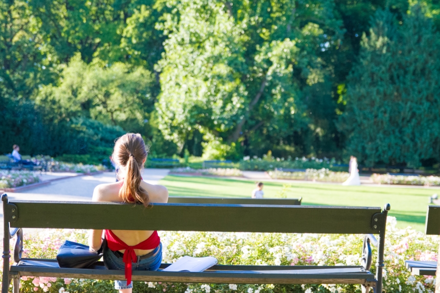 ワジェンキ公園 ワジェンキ公園