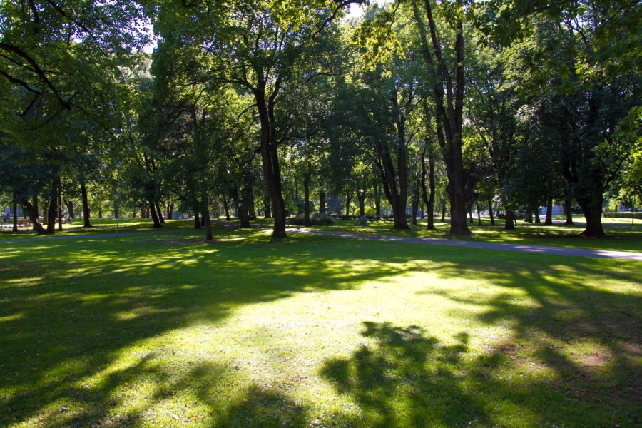 ヴェールマネ庭園 ヴェールマネ庭園