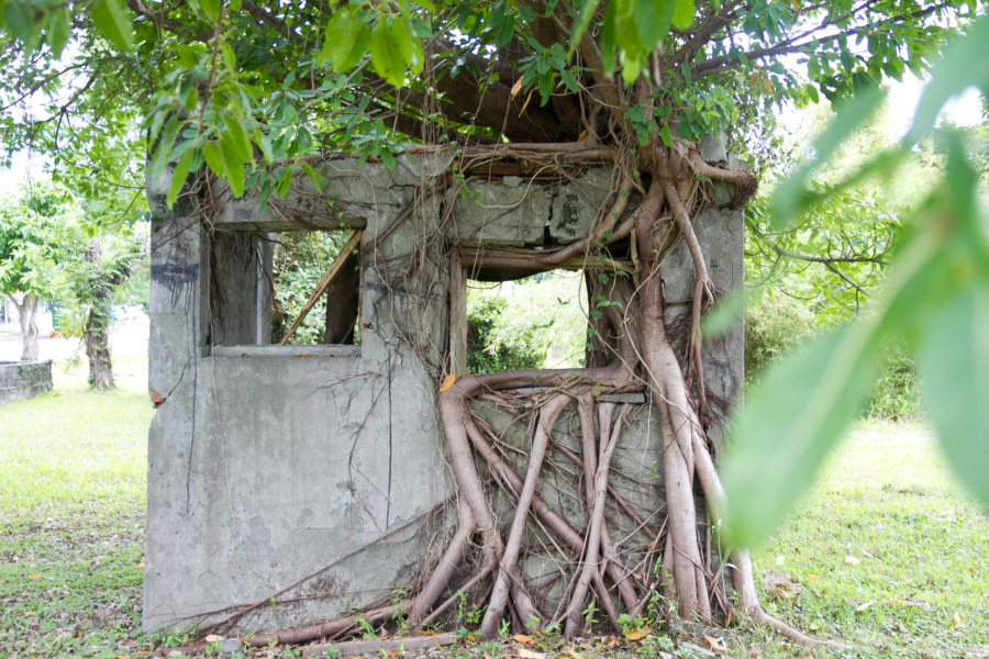宜蘭市内の公園 宜蘭市内の公園