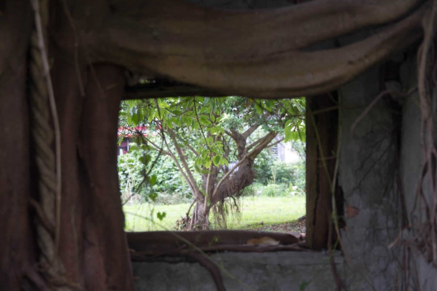 宜蘭市内の公園 宜蘭市内の公園